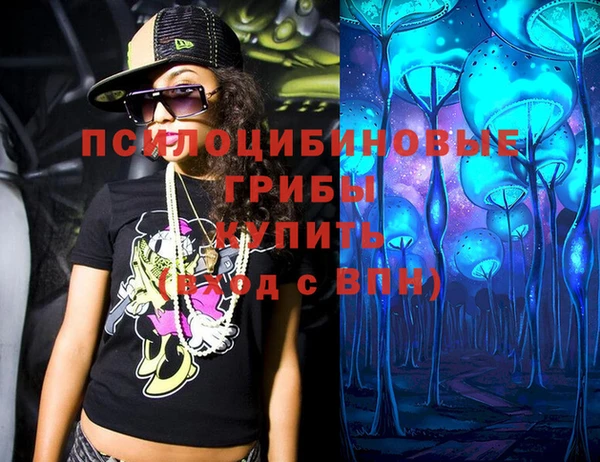 spice Беломорск