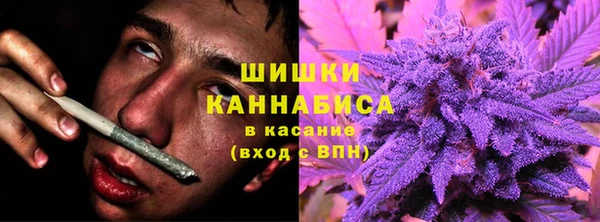 трава Балахна