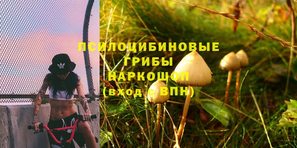 экстази Белокуриха