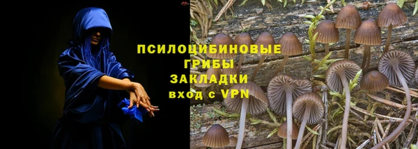 трава Балахна
