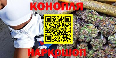 герыч Кингисепп